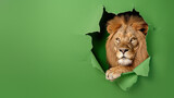 A majestic lion's head pokes through a sheet of torn green paper, creating a sense of escape and power