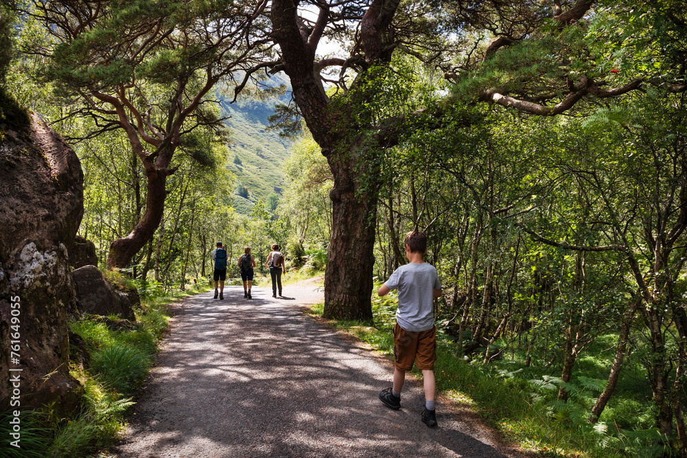 A group of people walk along the Glen Nevis road in the middle of a forest in Fort William, Scotland on a summer day