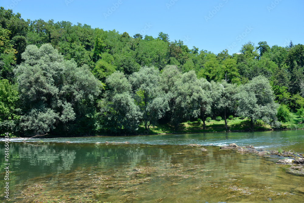Detail of river Kupa near Orljakovo in Croatia Detail of river Kupa near Orljakovo in Croatia