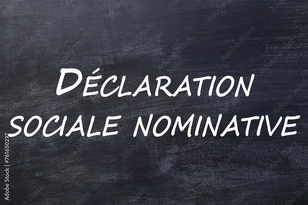 Obraz premium Déclaration sociale nominative tableau