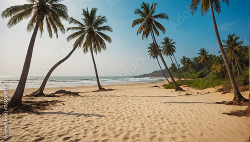 magnificent beach in Goa India summer