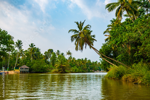 Idyllic Riverside Ambiance with Leaning Coconut Palm in Kovalam, Kerala, India