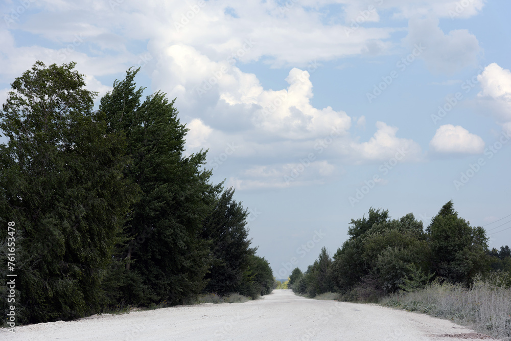 Natural landscape - among green trees and bushes, a white sandy road goes far into the distance to the horizon