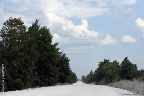 Obraz na płótnie Natural landscape - among green trees and bushes, a white sandy road goes far into the distance to the horizon w salonie