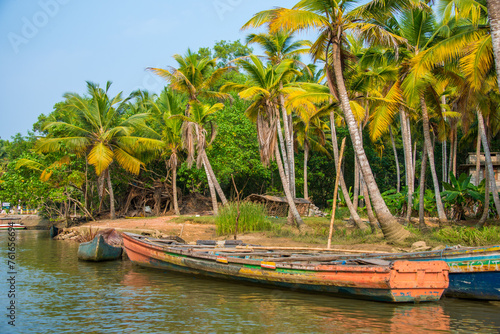 Traditional Canoes Moored by Palm-Fringed Shores of Kovalam, Kerala, India