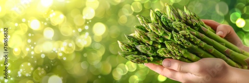 Fresh asparagus bunch held in hand, selection on blurred background with copy space photo