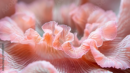 Ramaria sppmushroom coral on a soft pastel colored background, creating a serene and delicate scene © Andrei