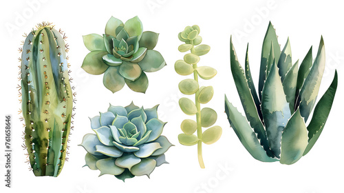 Cacti and Succulents Watercolor Set