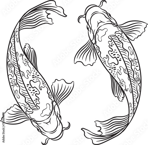 hand drawn vector lineart illustration of koi fish. for tattoo or logo