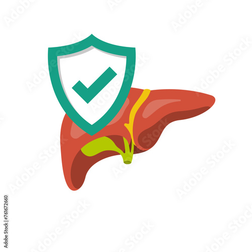 Liver protection icon. Safety human. A shield is a symbol of protection of the human liver. Healthcare concept. Vector illustration flat design. Isolated on a white background.