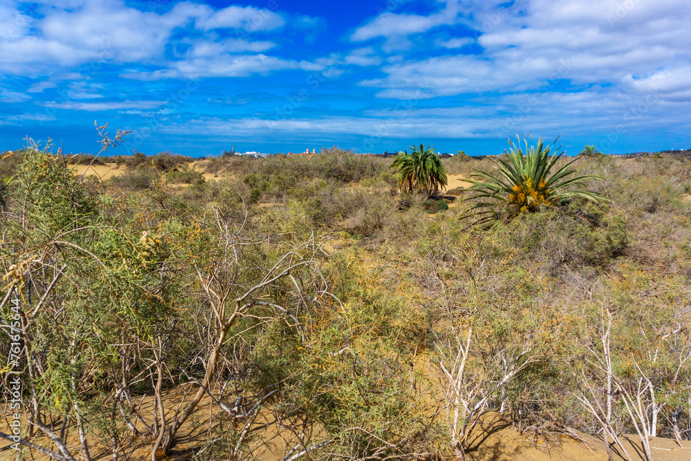 Maspalomas Dunes on Gran Canary Island Spain. Maspalomas Dunes on Gran Canary Island Spain.