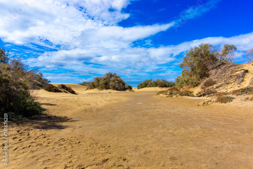 Maspalomas Dunes on Gran Canary Island Spain