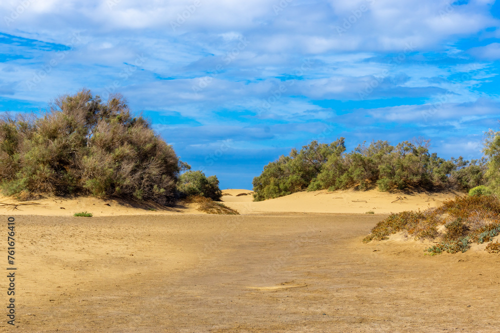 Maspalomas Dunes on Gran Canary Island Spain