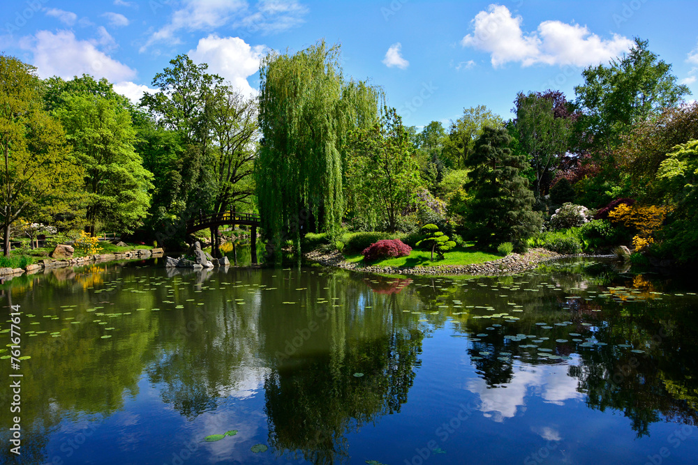 ogród japoński drzewa i kwitnące różaneczniki, mostek nad wodą, ogród japoński nad wodą, japanese garden blooming rhododendrons and azaleas, Rhododendron