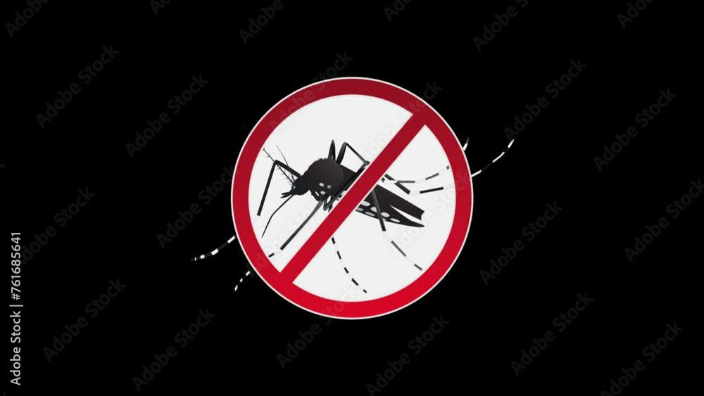 Aedes aegypti Mosquito stop sign. Aedes aegypti Mosquito stop sign.