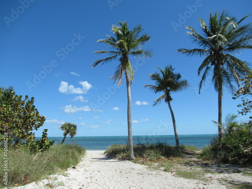 Fototapeta Naklejka Na Ścianę i Meble -  Beautiful beach and palm trees, sunny blue sky, Key Biscayne, Florida