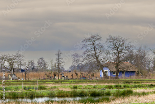Marsh landscape in peat meadow area nature reserve near the Nieuwkoopse Plassen between Enkele Wiericke and Kippenkade with blue wooden holiday home behind bare Alder trees in spring photo