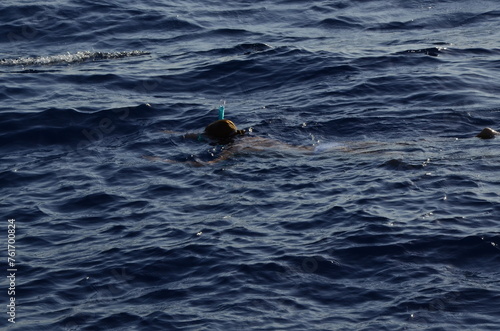 snorkeling in the sea