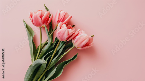 Romantic Pink Tulips: Capturing Spring's Beauty © M.Gierczyk