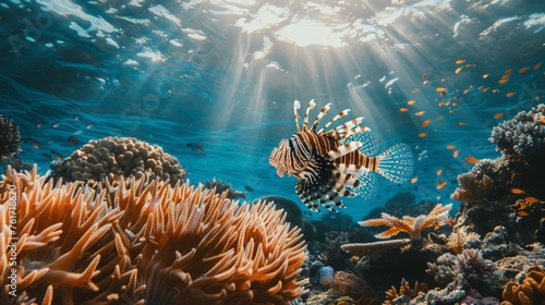 A lionfish gracefully navigates the vibrant coral reef in its natural habitat.
