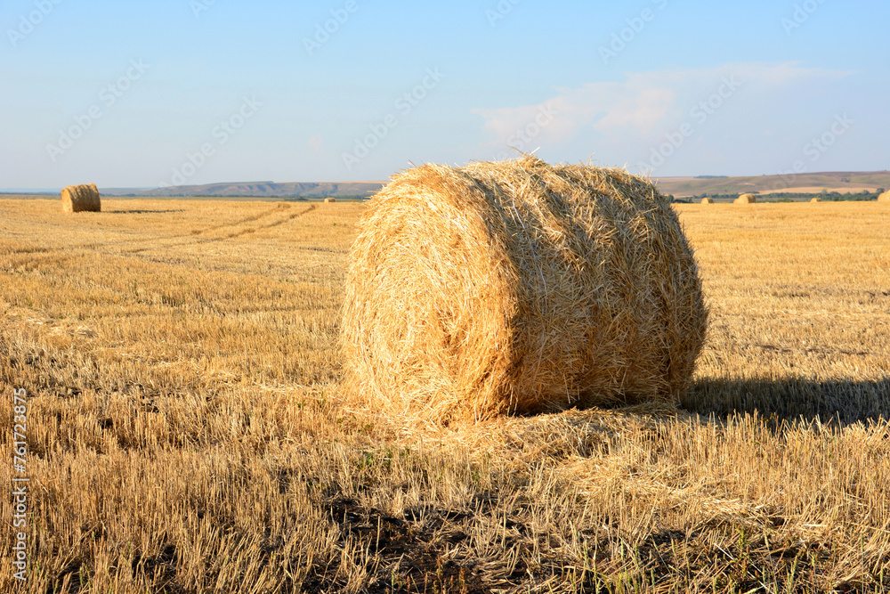 hay bale isolated on the agricultural field in the sunset copy space 