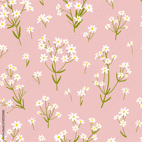 Seamless pattern with daisy flowers on pink background