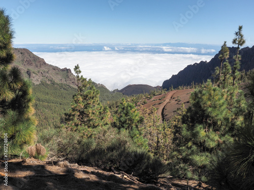 Las Raíces recreational area on the Las Lagunetas mountain photo