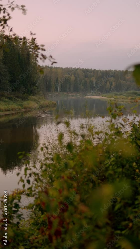 River view at sunset with forest in the background