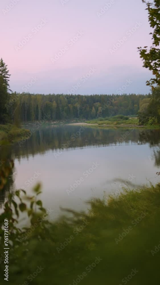 River view at sunset with forest in the background River view at sunset with forest in the background
