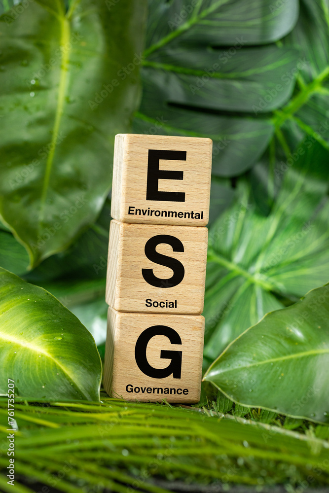ESG, Concept of environmental, social and corporate governance, Idea of sustainable development of the company, wooden blocks with text among real vegetation