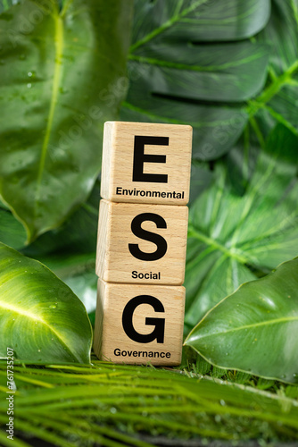 Obraz na płótnie ESG, Concept of environmental, social and corporate governance, Idea of sustainable development of the company, wooden blocks with text among real vegetation w salonie