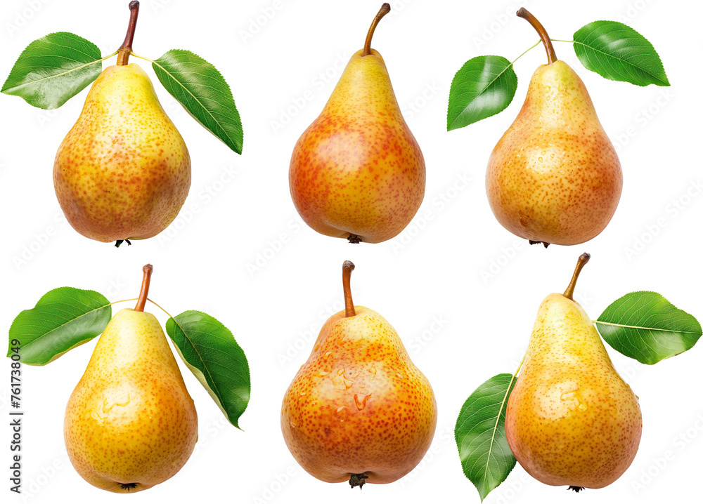pears yellow ripe summer with green leaves on a transparent background pears yellow ripe summer with green leaves on a transparent background