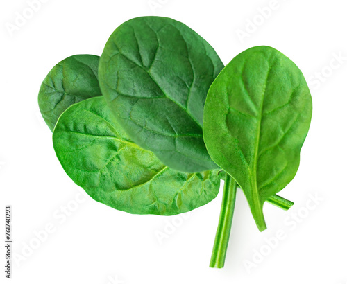 Spinach leaves isolated on white background. Pile of fresh green Espinach Macro. Top view. Flat lay..