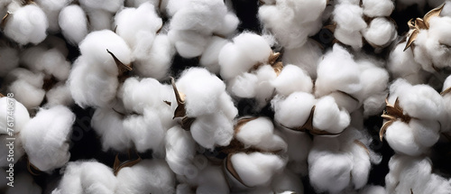 Tufts of cotton on a dark background with a soft and delicate texture. White cotton in an intriguing visual contrast with a feeling of serenity.