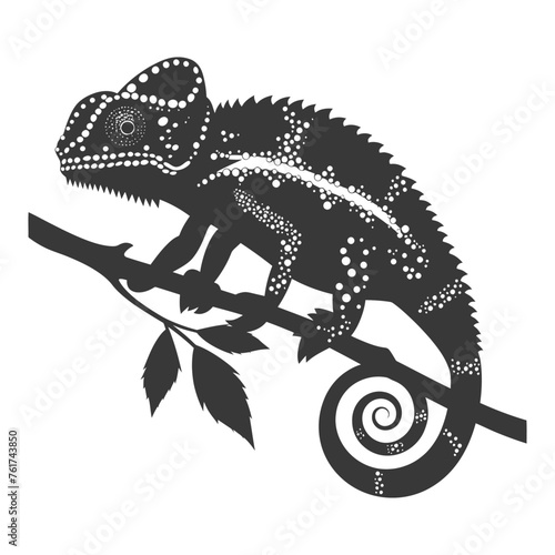 Silhouette chameleon Animal black color only full body