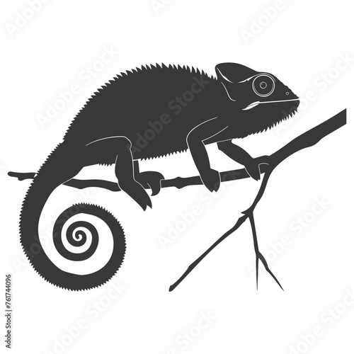 Silhouette chameleon Animal black color only full body