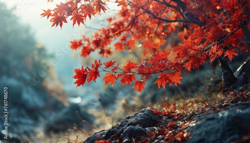  a close up of a tree with red leaves on it's branches and a rocky hillside in the background.