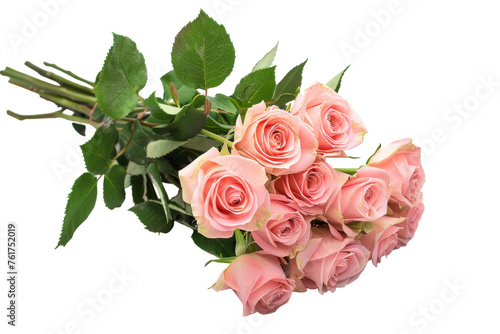A striking bouquet of pink roses elegantly arranged against a clean white background © Hashi