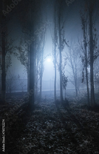 A nighttime street enveloped in dense fog. © Marat