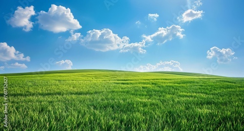 A vast expanse of lush green grass stretches out beneath a clear blue sky.