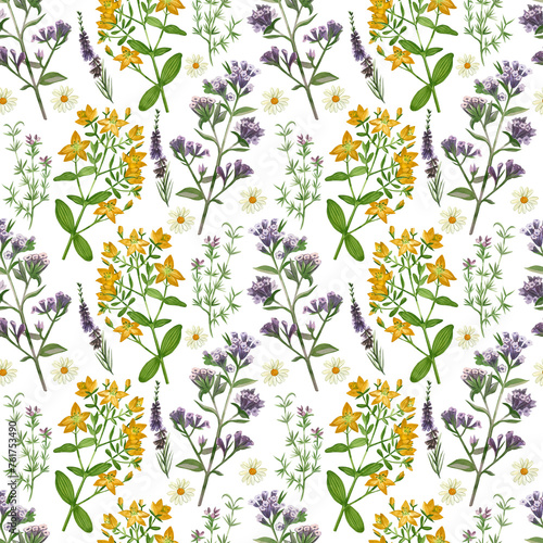 Watercolor pattern. Meadow grasses and flowers echinacea, hypericaceae, heather, chamomile, oregano hand drawn in watercolor. Suitable for printing on paper, fabric, scrapbooking, design, textiles.