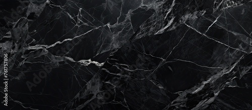 A close up of a black marble texture resembling a dark forest floor, with a combination of twig, wood, plant, and grass elements in monochrome photography style