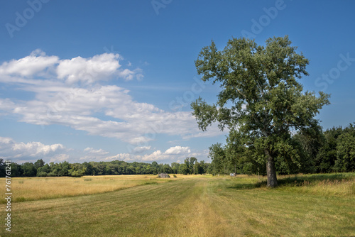 Park of the Chateau Pohansko, Moravia, Czechia © yassmin