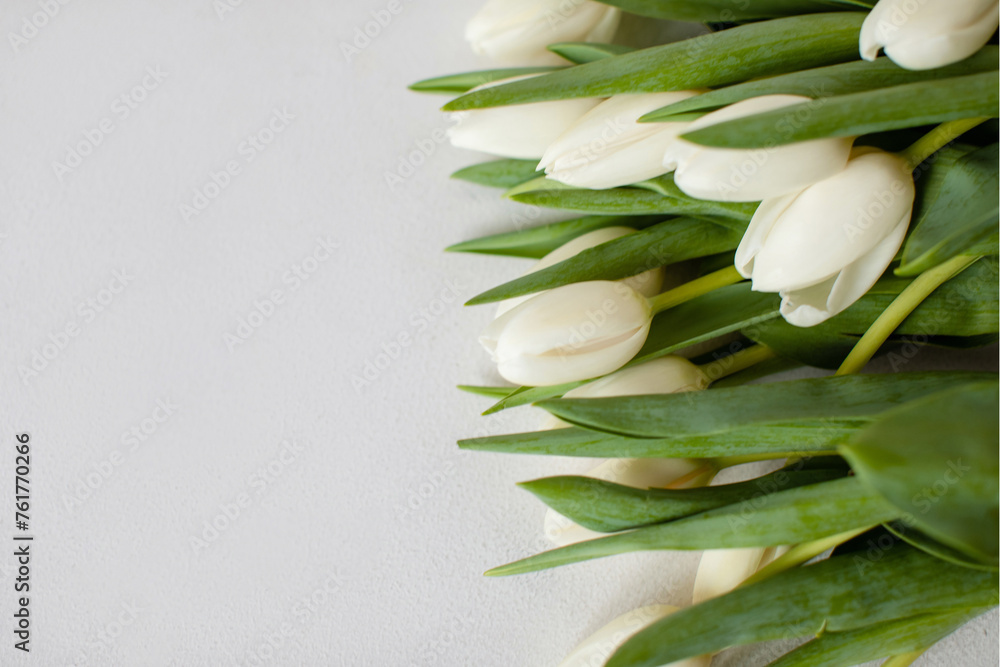 Bouquet of white tulips on the right on a white background. Top view. Copy space. Wedding flowers. Bouquet of white tulips on the right on a white background. Top view. Copy space. Wedding flowers.