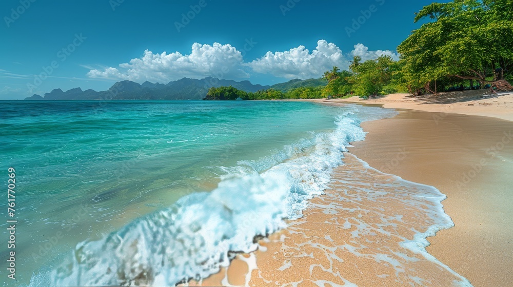 Sandy Beach With Blue Water and Green Trees