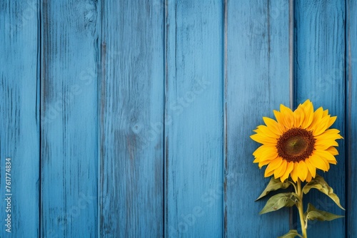a sunflower on a blue wood surface