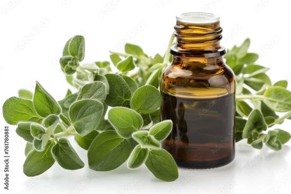 Wild oregano essential oil and fresh oregano leaves on a white background Wild oregano essential oil and fresh oregano leaves on a white background