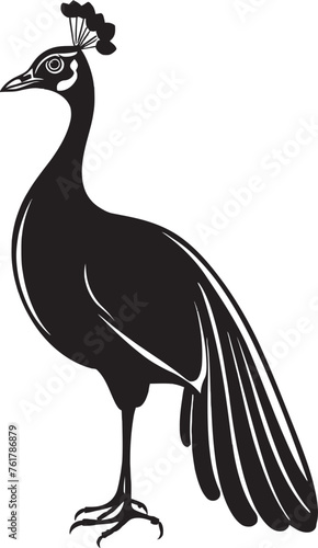 Splendid Feathered Majesty Black Logo Design of Magnificent Peacock Icon Opalescent Plumage Beautiful Peacock Emblem in Vector Black