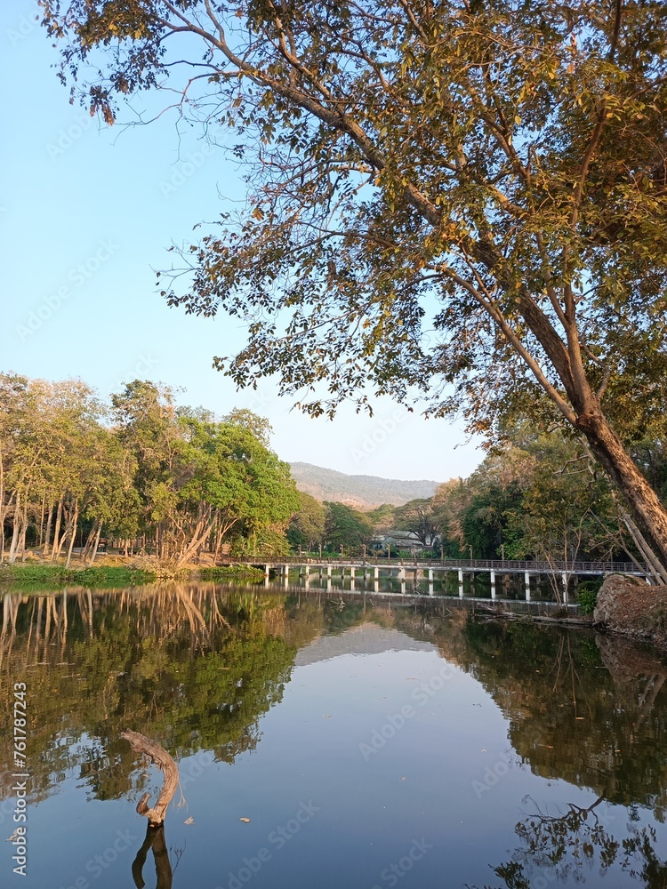 autumn in the park water River lake park autumn in the park water River lake park