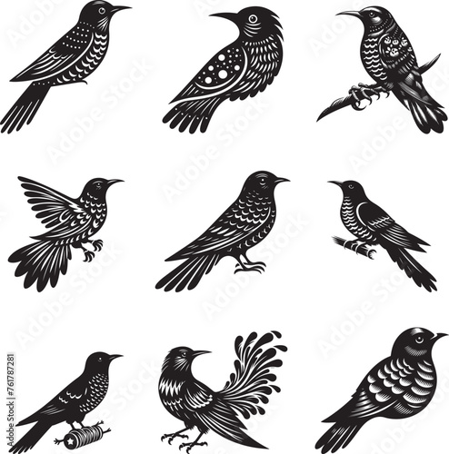 Cuckoo bird silhouette vector illustration set photo